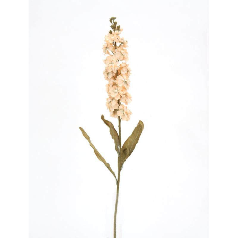 Orchidée en vaporisateur