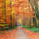 Autumn Park - Wrapped Canvas Print