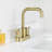 Centerset 2-handle Bathroom Faucet with Drain Assembly-55809707