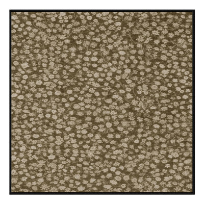 Machine Washable Botanical Brown Area Rug