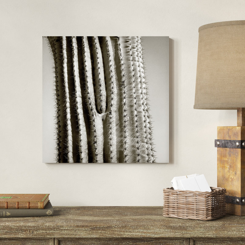 " Cactus Star ", 20" H x 20" W