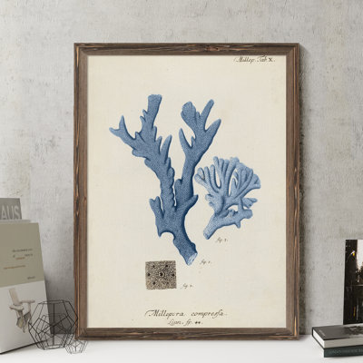 " Antique Coral In Navy I " by Paul Cezanne