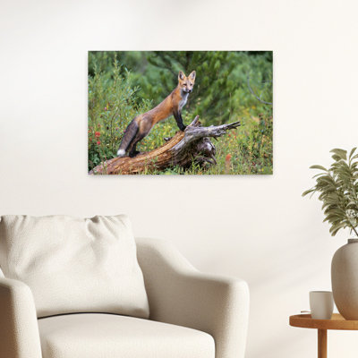 Renard roux (Vulpes vulpes) debout, l'air assuré, sur une bûche – Décoration murale contemporaine représentant un renard sauvage