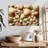 Various Seashells-1438497285