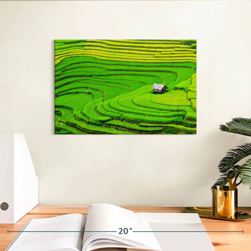 Champ de riz Alvord Ha Giang, H 8 po x l 12 po