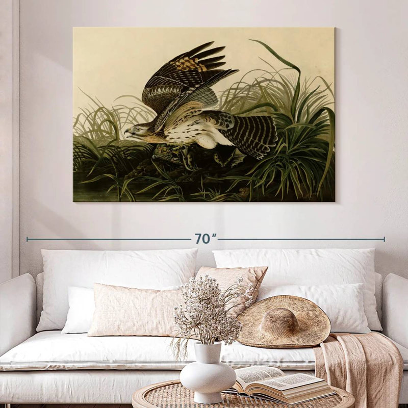 Brampt Winter Hawk, 34" H x 51" W