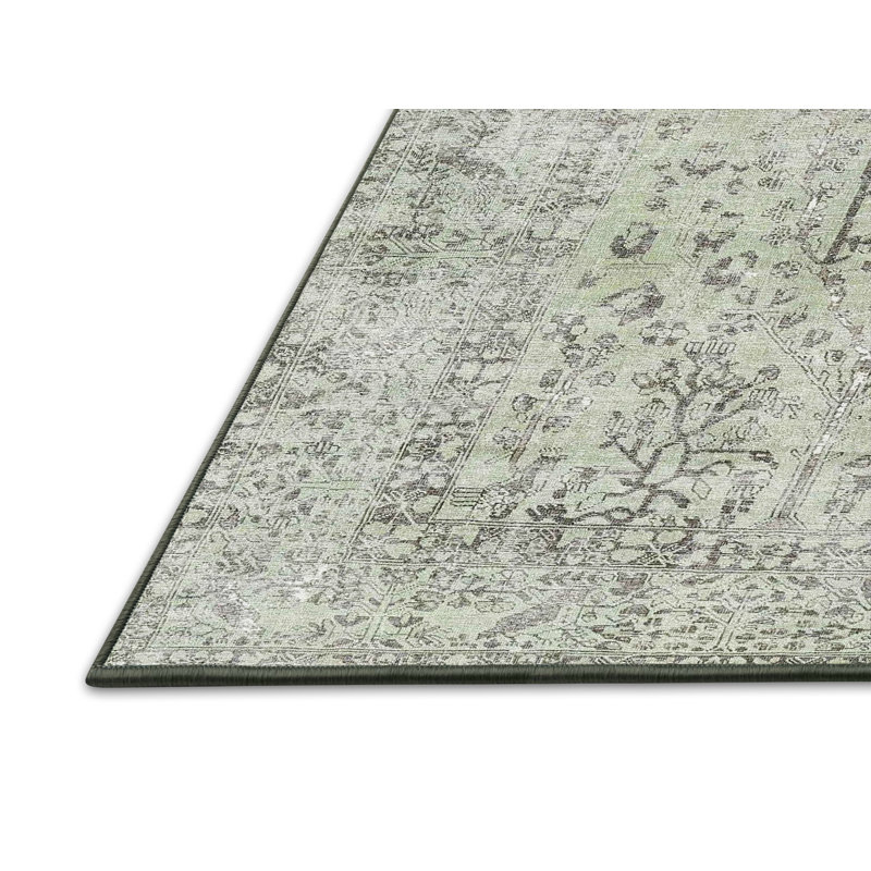 Amettes Indoor Rug, Rectangle 5' x 7'