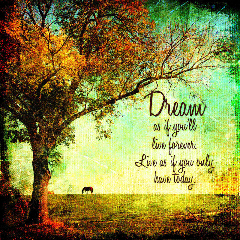 «Dream As If», impression sur toile tendue, H 20 po x l 20 po