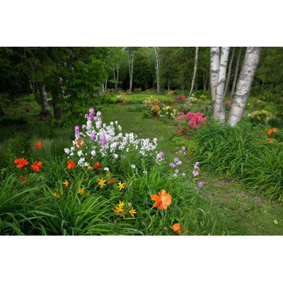 Red Barrel Studio® Anon, Ellen Gallery Wrapped Canvas Art Titled: Canada, New Brunswick Garden scenic
