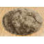 Hand Loomed Modern Area Rug in Taupe-1935804791