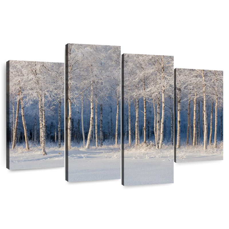 Bouleaux Alvord en hiver, H 27 po x l 43 po