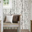 Birch Tree Peel and Stick Wallpaper, Taupe, 0.1 in * 216.0 in * 20.5 in