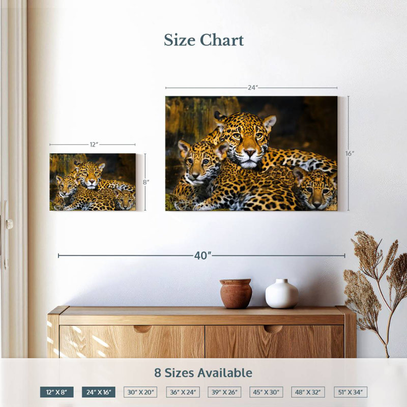Bébé jaguar Brampt, H 16 po x l 24 po
