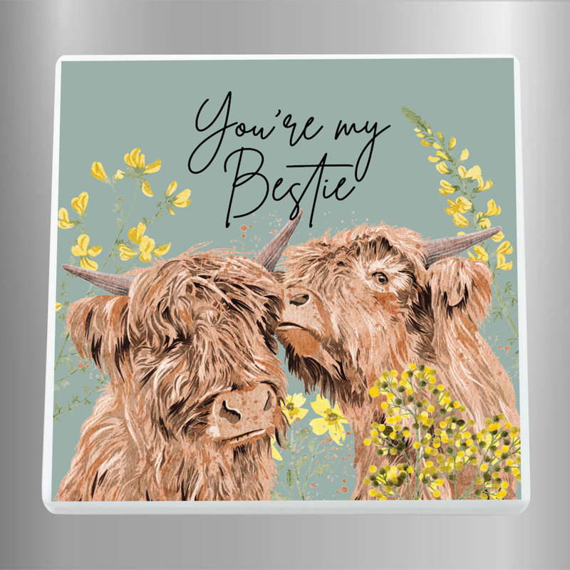 Zialan Animals Box Signs & Plaques