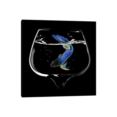 Betta Fish Dance by Antonyus Bunjamin - Wrapped Canvas Print