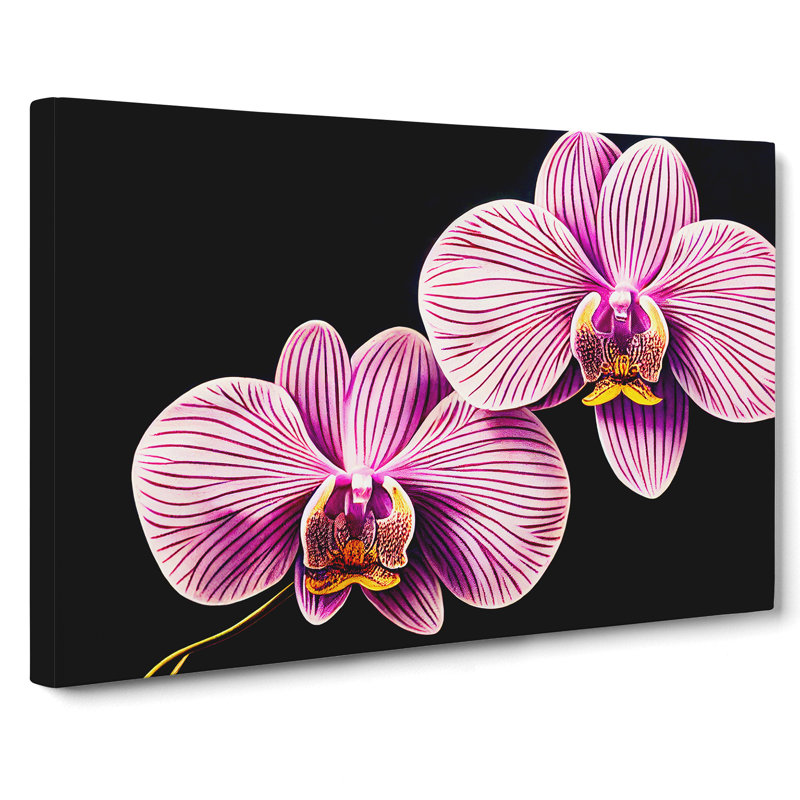 Head Turning Orchid Flowers - Wrapped Canvas, 40cm H x 60cm W x 3cm D