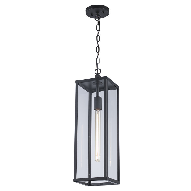 Lanterne suspendue d'extérieur 1 lumière Iddings, H 20,25 po x l 7 po x P 7 po