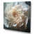 Wrapped Canvas