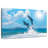 Brampt Dolphin Paradise-108698079