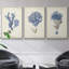 Indigo Botany Study I, ensemble de 3 toiles encadrées sur toile-97792556-97792557