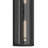 Berens 24" 2-Light Outdoor Wall Light with Clear Glass in Textured Black-126690924-126690923