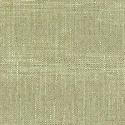 Classics Fabric, Apple Green