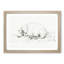 Resting Sheep by Jean Bernard - Picture Frame Drawing Print-55598859-55598861