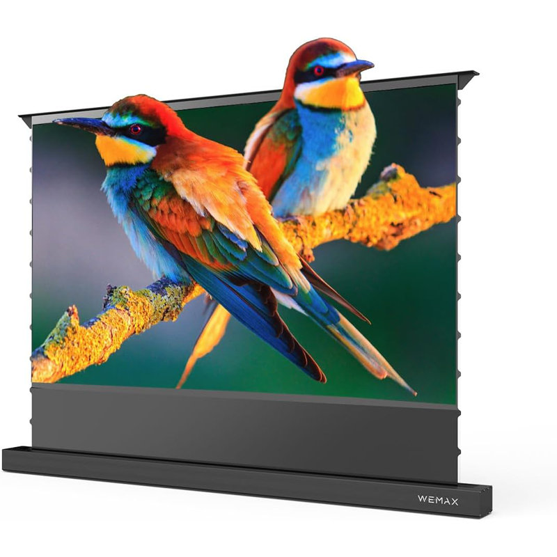 WEMAX Electric Projector Screen w/ Smart Voice Control, 4K UHD 1.5 Gain Soft Metal Screen, 120"