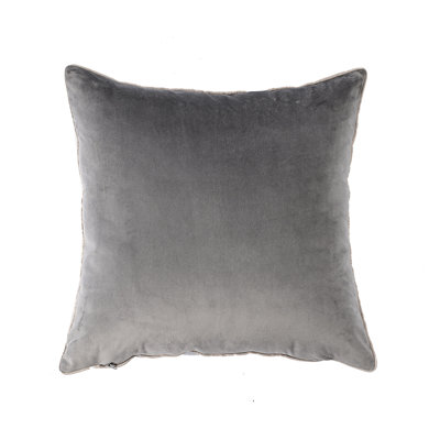 Velvet Throw Pillow Set of 2