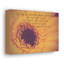 Requests To God - Wrapped Canvas Print