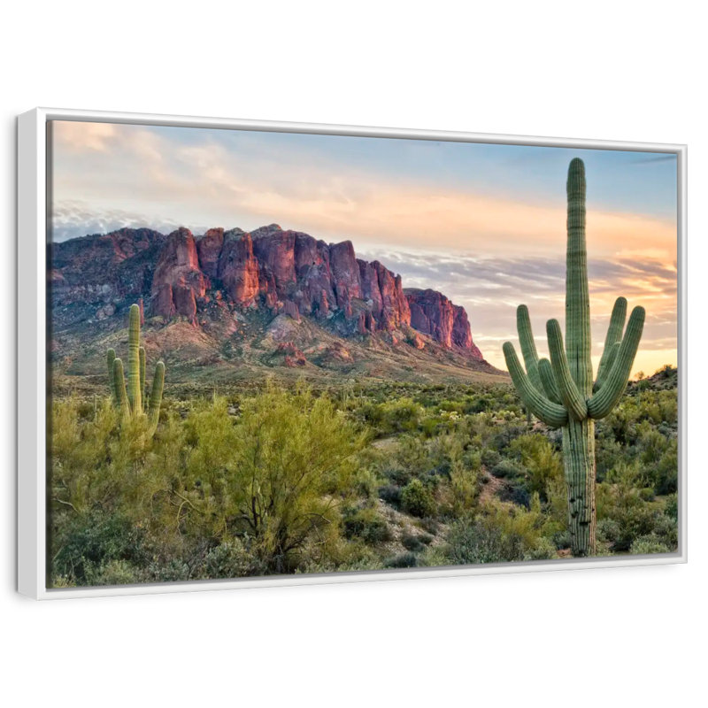 Cactus View II, Cadre flottant blanc, 37 po x 25 po
