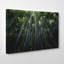 Landscape Woodland Trees Photographic - Wrapped Canvas-19090093