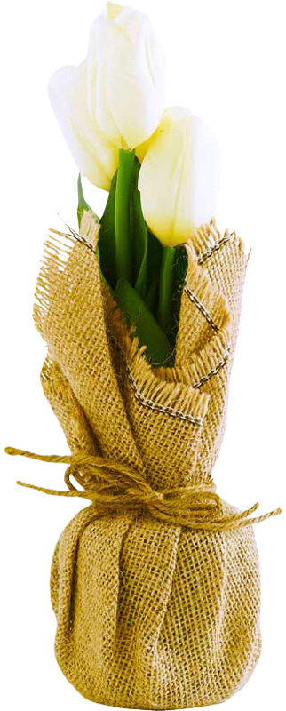 Tulip Arrangement