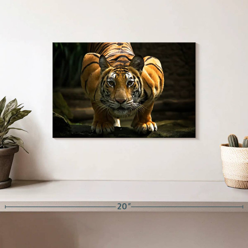 Brampt Fearless Tiger, 8" H x 12" W