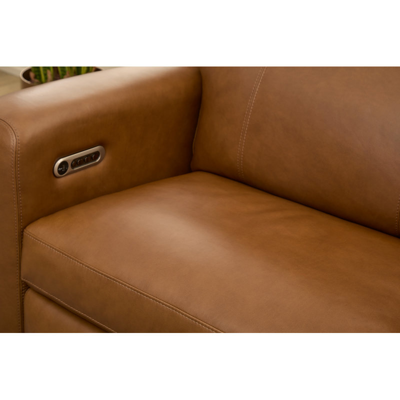 Harrison Power Reclining Sofa With Power Headrests & Lumbar, Brown