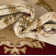 Debora Oriental Area Rug