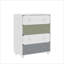 Liston 4 Drawer Chest with Custom Green and Pink Panel Design