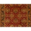 Hand Knotted Wool Oriental Area Rug in Red And Black