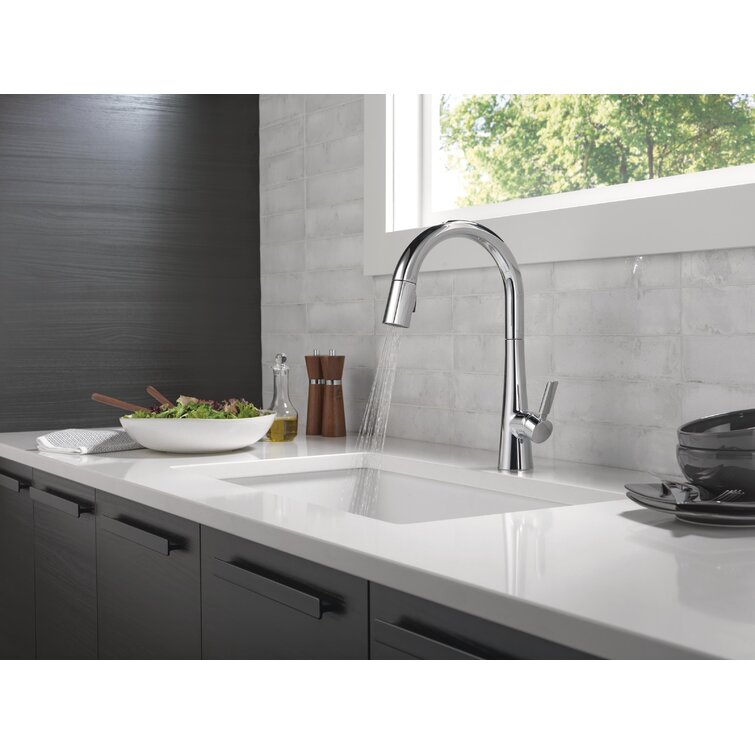 Monrovia Pull Down Single Handle Kitchen Faucet