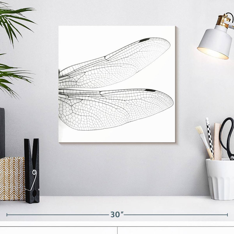 Brampt Dragonfly Wings, 16" H x 16" W