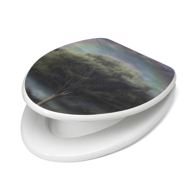 Elongated Toilet Seat and Lid