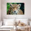 Jaguar solitaire-107724293