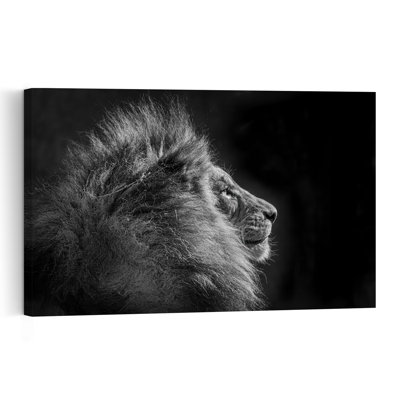 Majestic Lion Profile Contemporary Cat Lion Nature Portrait Wall Art Print