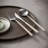 Costa Nova Mito Stainless Steel Flatware Set-100152952