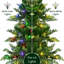 Arbre de Noël épinette 7,5 pi pré-éclairé