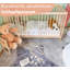 Baby Cot-93576651-93576653