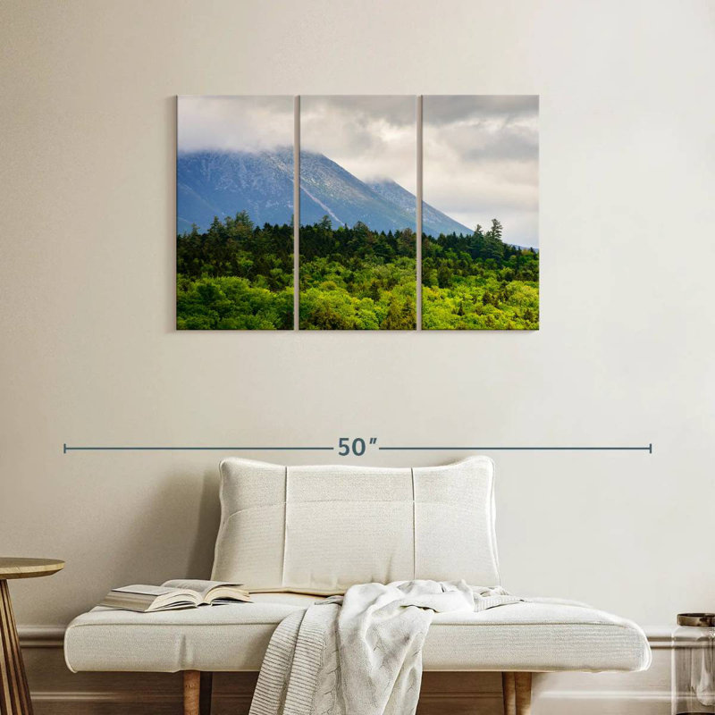 Alvord Mt. Katahdin Lush Forest, H 24 po x l 38 po