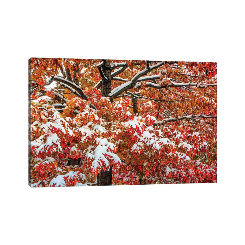 Seasons Of Change by Bill Sherrell - No Frame Gallery-Wrapped Canvas Giclée on Canvas