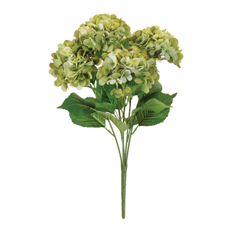 Hortensia floral (ensemble de 2), Vert