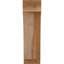 Attelle impériale du genou-87149290-29309856-31229277